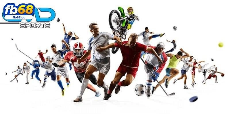 CMD Thể Thao – Sảnh Cược Trực Tuyến Thú Vị Tại FB68